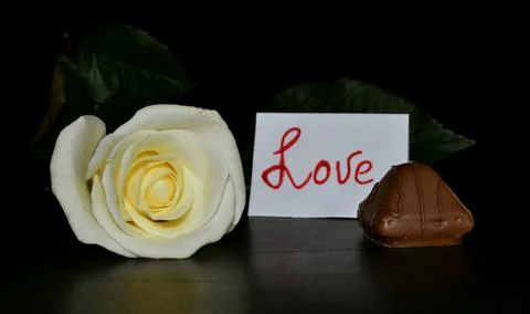 The studio white rose on a black background. White leaflate with inscription  Stock-Fotos