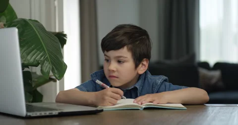 Studious boy sitting in front of computer Stock Footage 132003852