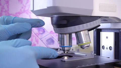 Study of bacteria under a microscope. Preparation of the microscope. Stock Footage 87427491