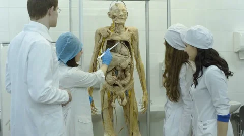 The Study of Body Composition Stock Footage 67463372