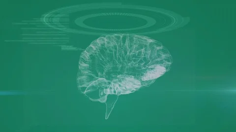 Study of a brain Stock Footage 107645260