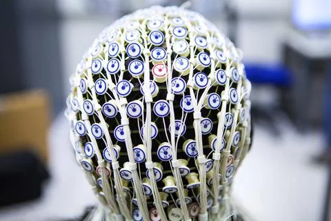  STUDY OF BRAIN Reportage on a research team who are studying conscious th... Stock Photos