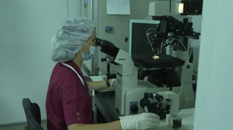 Study cell fertilization Stock Footage 40971963