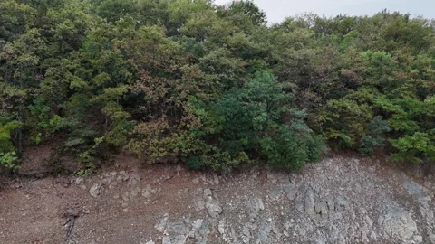 A Study in Contrasting Textures,Verdant Forests Meeting Rugged Earth in Bursa. Stock Footage 314193880