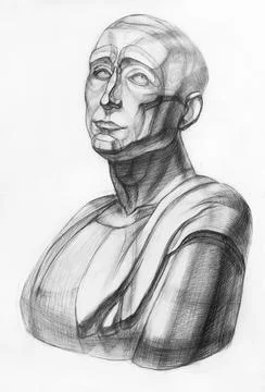 Study drawing of plaster bust of Niccolo da Uzzano Stock Illustration