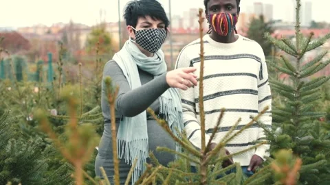 Study the environment, learn about ecology human impacts. Landscaping planning. Stock-Footage 144109963