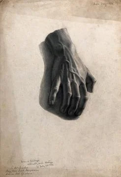Study of a hand. Charcoal drawing by A. Mongrdien, 28 July 1881. Stock Illustration