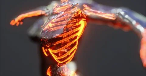 Study of human body anatomy featuring an illuminated skeleton model Illustrazione stock