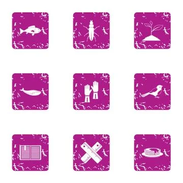 Study of insect icons set, grunge style 스톡 일러스트