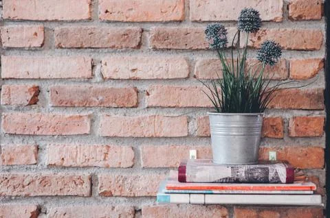 Study for knowledge Read books in the library. 库存照片