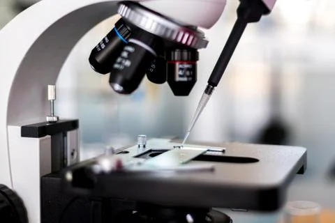 Study with a microscope in biology laboratories, scientific activity, biologi Stock Photos
