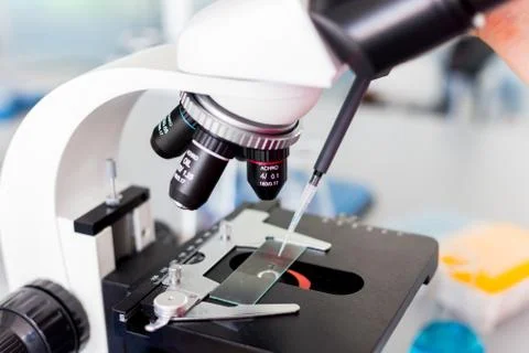 Study with a microscope in biology laboratories, scientific activity, biologi Stock Photos