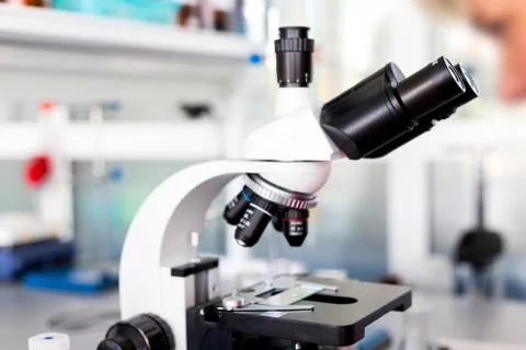 Study with a microscope in biology laboratories, scientific activity, biologi Stock Photos