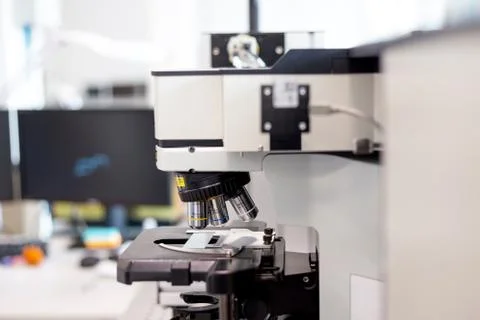 Study with a microscope in biology laboratories, scientific activity, biologi Stock Photos