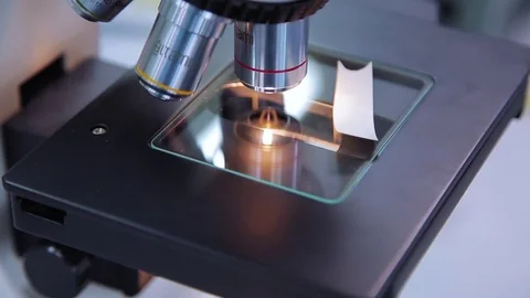 Study with microscope Stock Footage 71579731