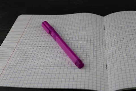 A study notebook in a spread and a pen Foto stock