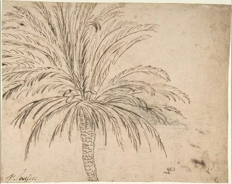 Study of a Palm Tree (recto); Mountain Landscape (verso) ca. 163540 Nicolas.. 库存照片