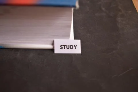 Study Paper Tab Inserted in Book Pages Symbolizing Academic Focus Growth Фото