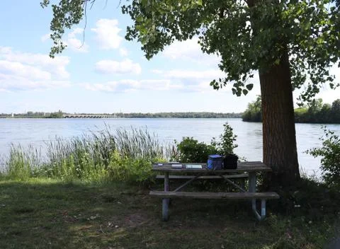 Study By The Rivers Edge 스톡 사진