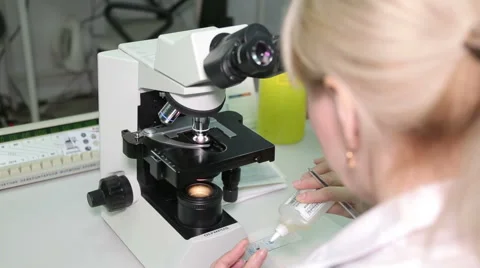 Study of a sample of biological material in the laboratory Stock Footage 66341197