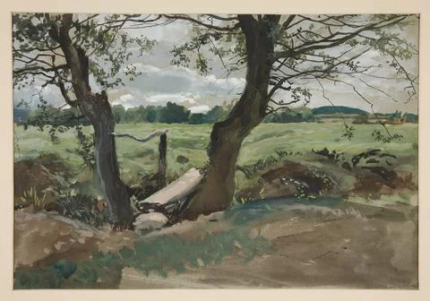 Study of two trees and afield.  Artist: Edwin Austin Abbey, American, 18521.. Stock Photos