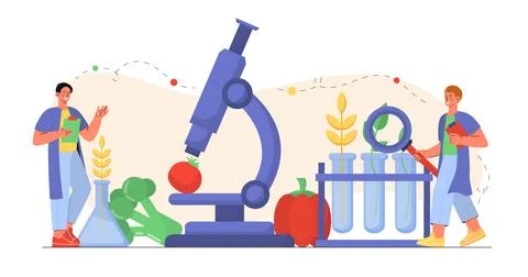 Study of vegetables. Men with microscope and magnifying glass examine vegetables Stock Illustration