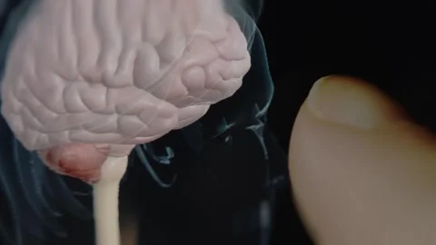 Studying 3D model of human brain in human anatomy app Stock Footage 292399794