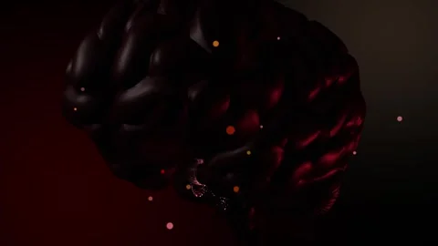 Studying the brain. A model of the brain. Psychology. Stock Footage 248972801