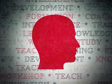 Studying concept: Head on Digital Data Paper background Illustrazione stock