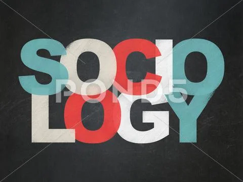 Is Sociology a Good Degree for You? 5 Things to Know – College Reality Check