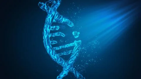 Studying the digital interface of the molecule Stock Photos