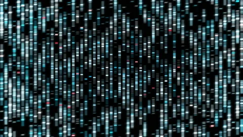 Studying Evolution By High Tech Scientific Examination Of Human Gene Sequence Stock Footage 202367566