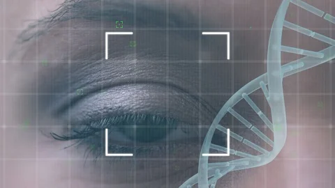 Studying genetics through the eye Vidéo 112006966
