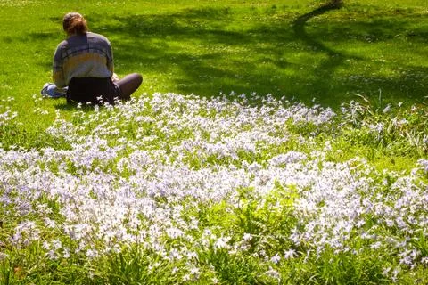 Studying on the grass Foto stock