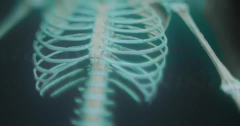 Studying human skeleton head and chest areas in anatomy app Stock Footage 314878700