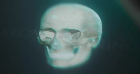 Studying the human skull in anatomy app Stock Footage 314878665