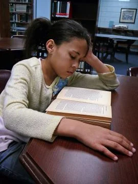 Studying at the Library Stock Photos