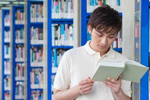Studying in the library Stock Photos