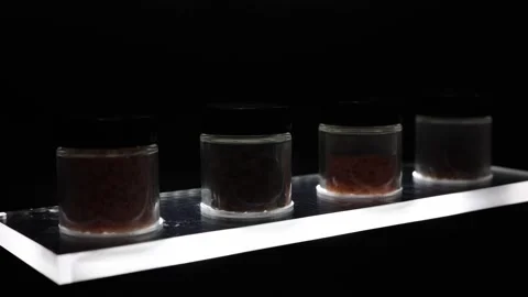 Studying metals in the laboratory Stock Footage 285648008
