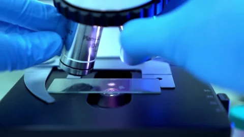 Studying microbial life under a microscope, investigating the role of bacteria Stock Footage 336582928