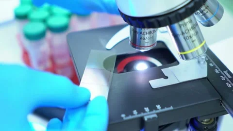 Studying microbial life under a microscope, investigating the role of bacteria Stock Footage 336582953