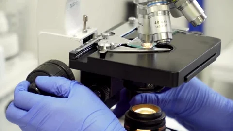 Studying microbial life under a microscope, investigating the role of bacteria Stock Footage 336583013