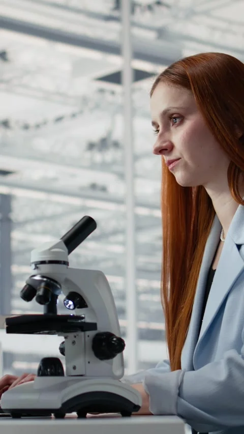 Studying microchip architecture, microscope and woman in office Stock Footage 335882986