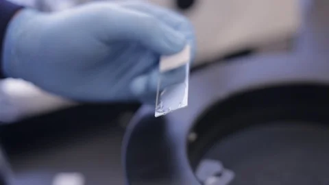 Studying a Microscope Slide Video stock 71455301