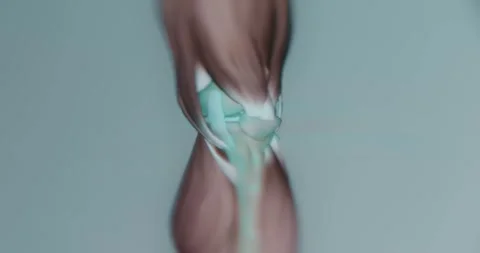 Studying the muscles and bones in the knee area Stock Footage 314879233