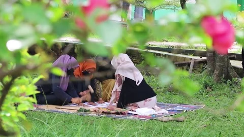 Studying in a park Stock Footage 287308697