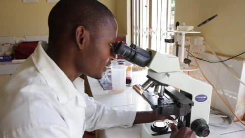 Studying a specimen under the microscope Stock Footage 126302766