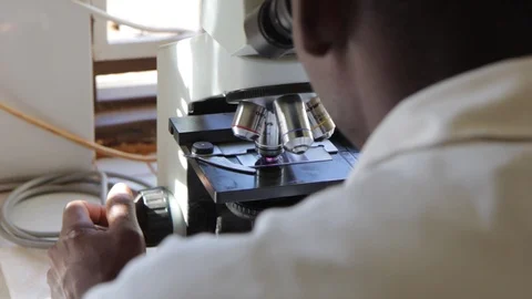 Studying a specimen under the microscope Stock Footage 126302770