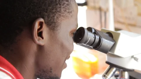 Studying a specimen under the microscope Stock Footage 126302779