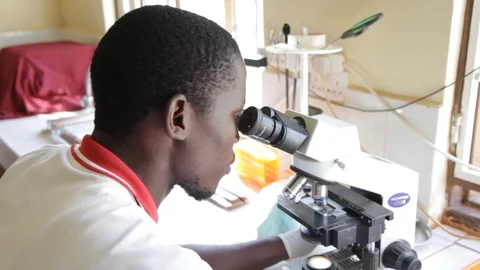 Studying a specimen under the microscope Stock Footage 126302785